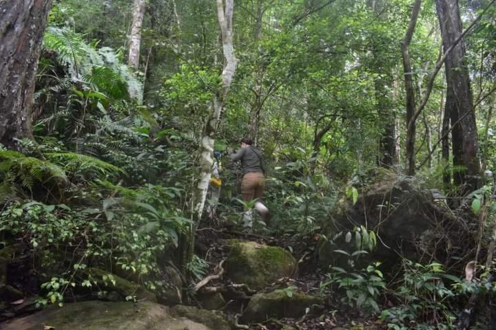 Sinharaja Kurulu Ella Eco Resort เดนิยายา ภายนอก รูปภาพ