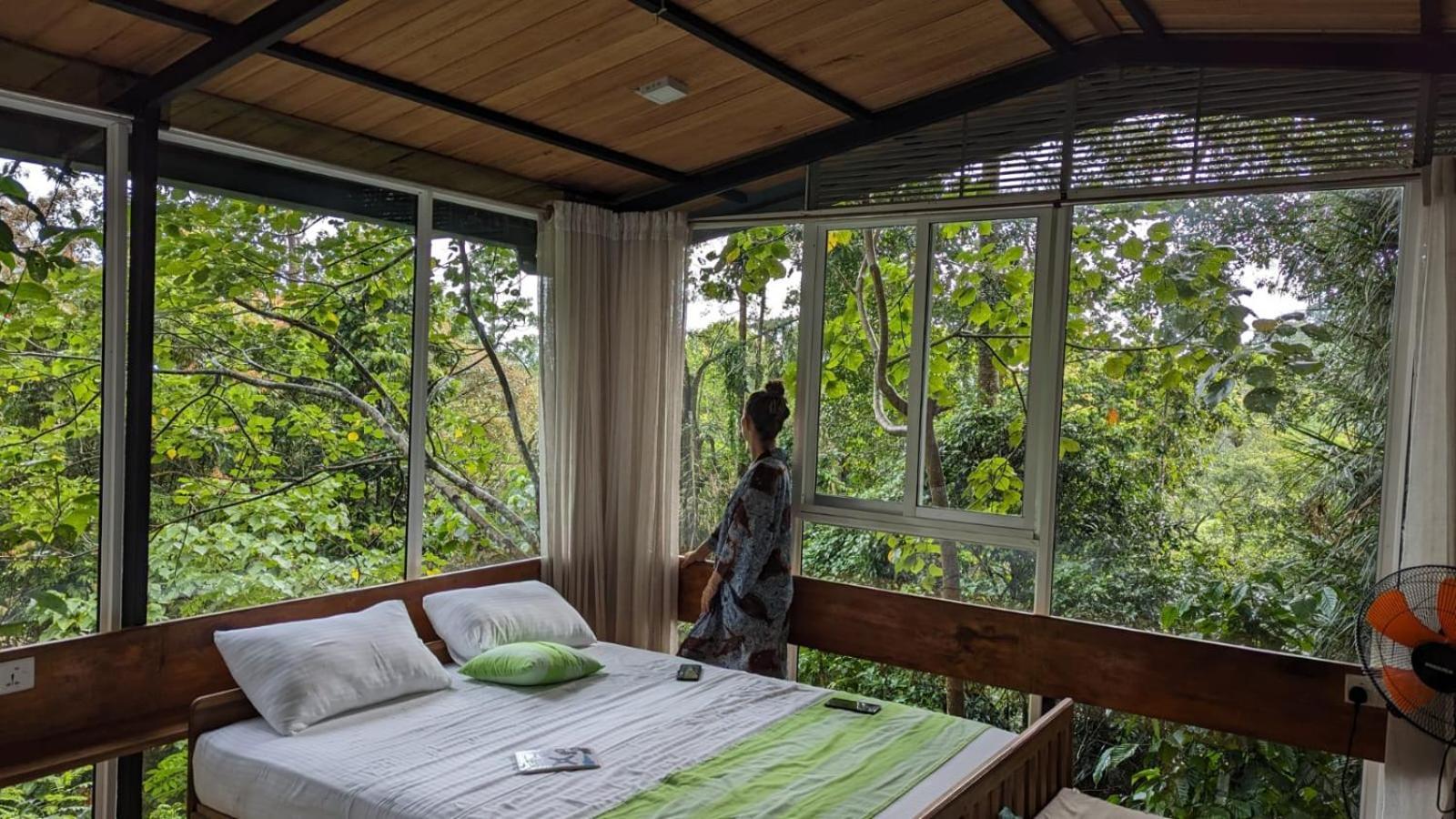 Sinharaja Kurulu Ella Eco Resort เดนิยายา ภายนอก รูปภาพ