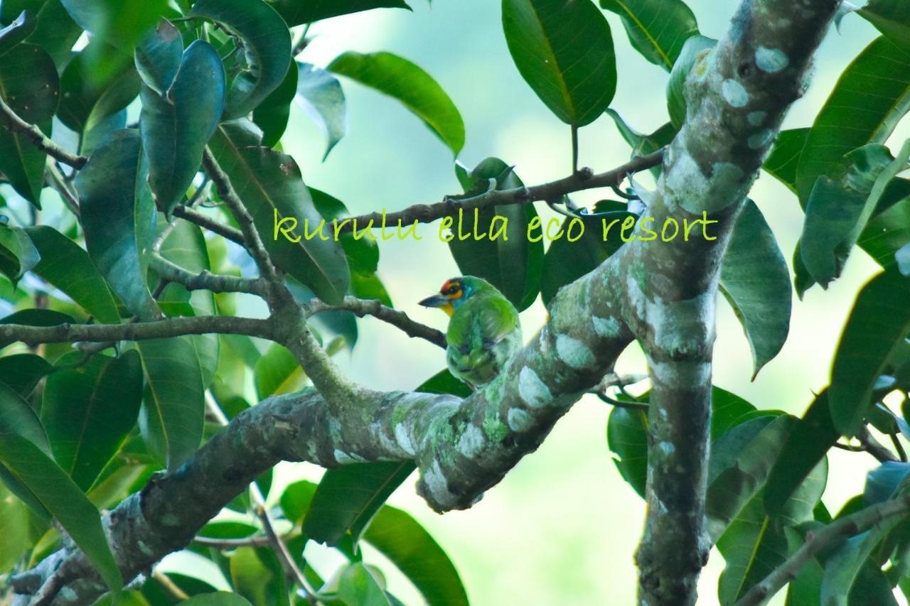 Sinharaja Kurulu Ella Eco Resort เดนิยายา ภายนอก รูปภาพ